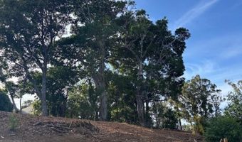 2599 Ala Olu Pl unit C, Haiku, HI 96708