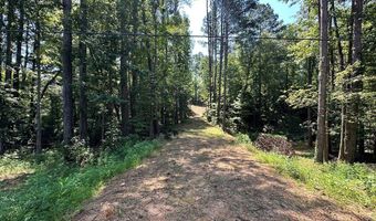 George Green Rd, Tallapoosa, GA 30176