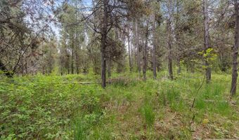 1537 Shadow Run, Ashton, ID 83420