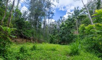 54-1749 PAIPO KANE Rd, Kapaau, HI 96755