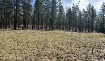 31760 HWY 10 W, Alberton, MT 59820