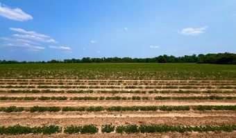 Rocky Creek Road, Ashford, AL 36312