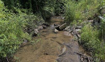 TBD Paint Fork Rd, Barnardsville, NC 28709