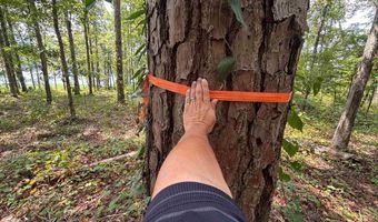 0 GIBSON COVE Dr 3 Acres, Ashville, AL 35953