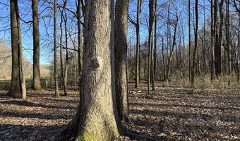 6075 Curtis Rd, Batesville, MS 38606