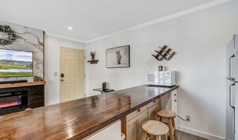 306 ILLINOIS GULCH Rd 113, Breckenridge, CO 80424