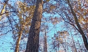 BLACKJACK ROAD lot 0, Argo, AL 35173