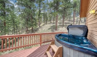 33 Grouse Ln, Bailey, CO 80421