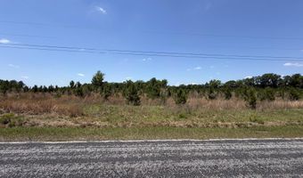 Attadale Rd lot 3, Blenheim, SC 29516