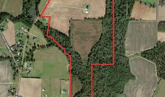 1243 Silcox Rd, Ashford, AL 36312