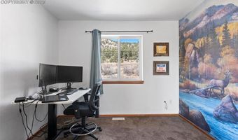 73 Sunlight Ln, Bailey, CO 80421