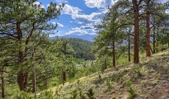 226 Hall Rd, Bailey, CO 80421