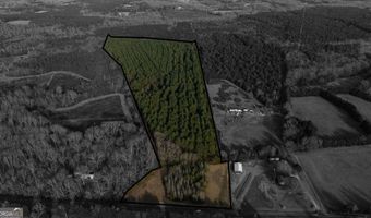 Hwy 20, Abbeville, SC 29620