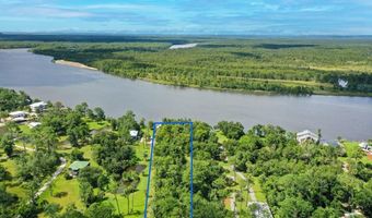 137 Cedar Oaks Ln, Apalachicola, FL 32320