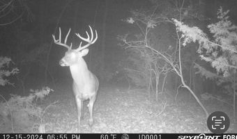 00 Katy Rd, Atoka, OK 74525