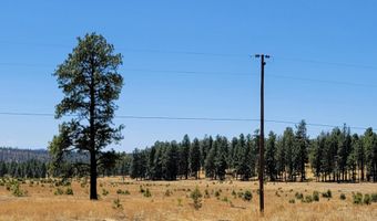 Tbd STONE CREEK RD CR 2117, Alpine, AZ 85920