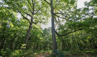 Private Drive Off Of Fr 1245, Aurora, MO 65605