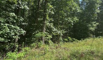 Lot 1 & 2 Rt. 1 Muddy Creek Mountain, Alderson, WV 24910