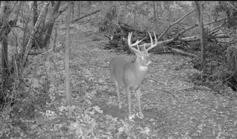 County KK, Alma, WI 54610