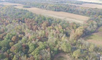 Holloway Landing Road, Barlow, KY 42024