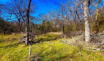 Tbd 13.7+/- Acres County Road 2560, Alvord, TX 76225