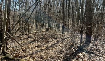 5725 Whitneyville Ave SE, Alto, MI 49302