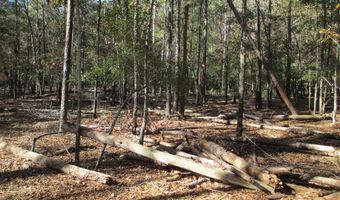 Hillside Drive, Americus, GA 31709