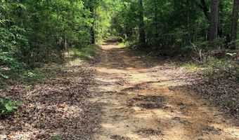 Low Water LN SW, Brookhaven, MS 39601