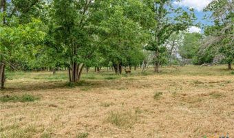 10767 Rosemar Ln, Adkins, TX 78101