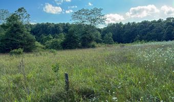Co Rd 539, Ava, MO 65629