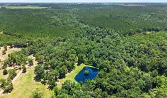 3470 Bell Fork Rd, Atmore, AL 36502