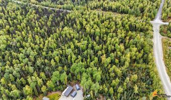 6092 S Purinton Pkwy, Big Lake, AK 99623