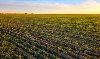 Shumaker Rd, Bennett, CO 80102