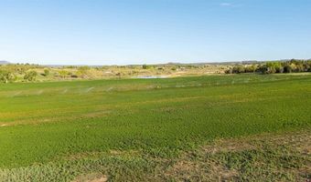 777 County Road 977, Arboles, CO 81147