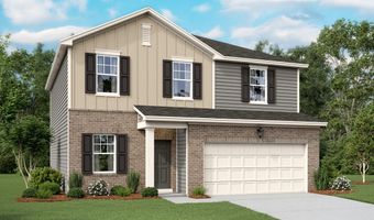 10644 Harlequinn Plan: Radiance, Adkins, TX 78101