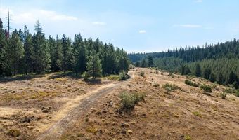 13889 Dead Indian Memorial Rd, Ashland, OR 97520