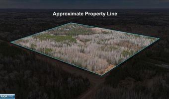 TBD Lane 55 County Road 341, Aurora, MN 55705