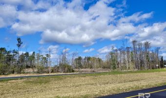 0 Highway 287, Bay Minette, AL 36507