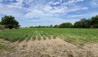 1407 Shaw Skene Rd, Boyle, MS 38730