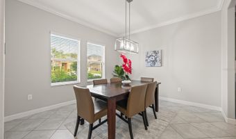 3212 CALVANO Dr, Land O Lakes, FL 34639