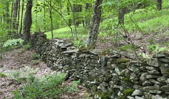 Woodland Hills Road, Andes, NY 13731