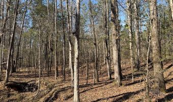 Highway 28, Abbeville, SC 29620