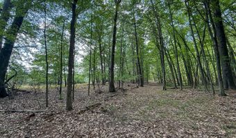 39 Acres N Pingree Rd, Alma, MI 48801