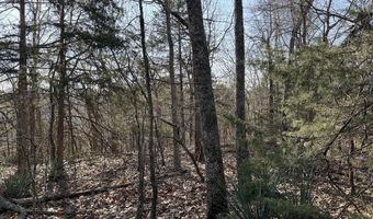 Pecks Drive N, Bergman, AR 72615