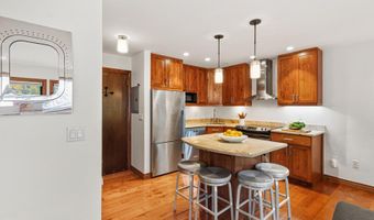 725 E Main St 309, Aspen, CO 81611