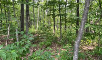 0 Cascade Mountain Rd, Amenia, NY 12501