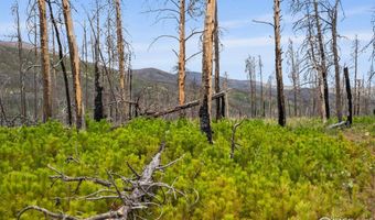 1025 Crystal Mountain Rd, Bellvue, CO 80512
