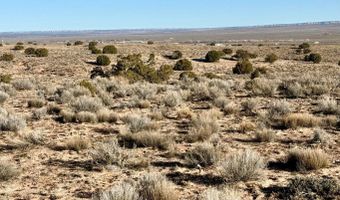 N7009 40 Acres, Chambers, AZ 86502