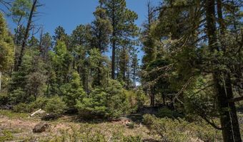 97 Zia Rd, Angel Fire, NM 87710