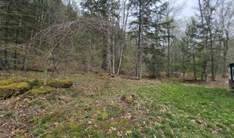 563 Simonsville Rd, Andover, VT 05143